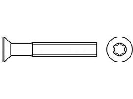 ISO 14581 A 2 M 5 x 25 -T25 A 2 S Produktbild