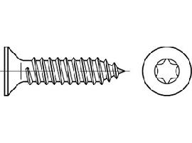 ISO 14586 A 4 4,2 x 22 -C -T20 S Produktbild