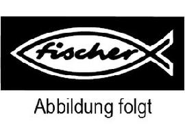 ART 81018 FISCHER-dynamic-Anker FDA-A St. gal Zn 12 x 100/25 S Produktbild