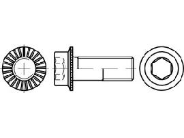 ART 88912 Innen-6-kt. Ripp-Schr. Kl. 100 M 6 x 20 flZn/nc/TL/x/480h/C flZn S Produktbild