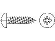 ISO 7049 Stahl 2,2 x 22 -C-Z galv. verzinkt passiviert gal Zn S Produktbild