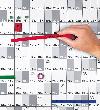 magnetoflex-Bänder Produktbild