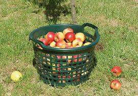 Gartenkorb, rund Produktbild