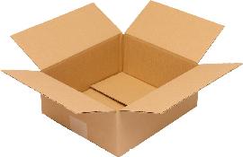 Karton 1-wellig,VE50, 260x220x100mm, Q.1.2 Produktbild
