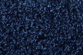 Schmutzfangmatte Eazycare Color, blau Produktbild