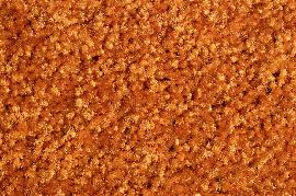 Schmutzfangmatte Eazycare Color, orange Produktbild