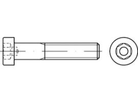 DIN 6912 8.8 galvanisch verzinkt Produktbild