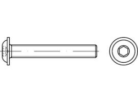 ISO 7380-2 10.9 blank Produktbild