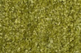 Schmutzfangmatte Eazycare Color, grün Produktbild