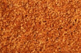 Schmutzfangmatte Eazycare Color, orange Produktbild