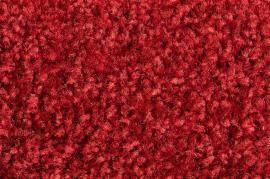 Schmutzfangmatte Eazycare Color, rot Produktbild