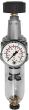 Filterdruckregeler BR Standard, G3/8" DN6, BG 2, PC-Behälter, 5µm, 0,5-10bar, RIEGLER Produktbild