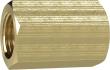Muffe, Messing IG G1/8" Länge 22mm SW 14mm RIEGLER Produktbild
