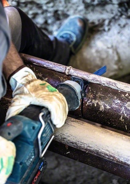 BOSCH Säbelsägeblatt Expert S1255CHC (2608900371) Produktbild img8 L