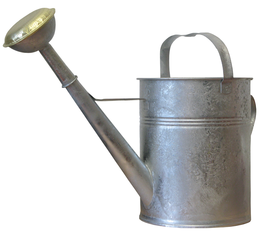 profibau - Handel Logistik Service Gießkanne aus verz. Blech 10 l Produktbild img1 L
