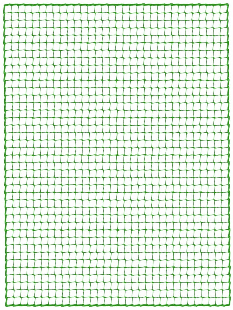 Jäger Direkt Jäger Fischer Ladungssicherungsnetz 2,0 x 3,0m Maschenweite 45mm/3mm Produktbild img1 L