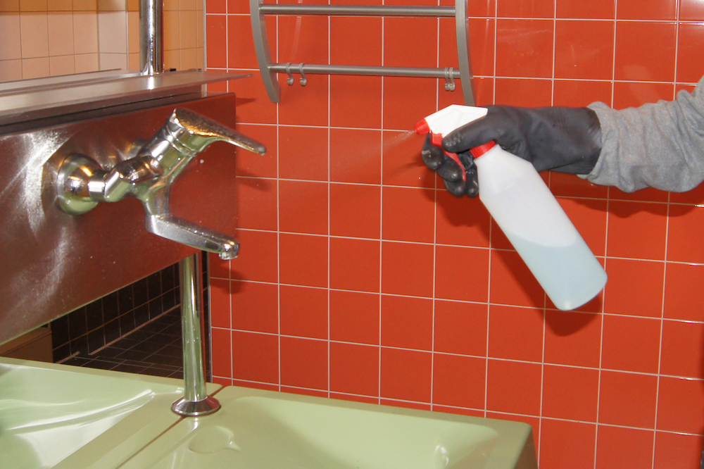 MESTO Handzerstäuber 1,0 Liter F PM Produktbild img3 L