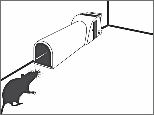 SWISSINNO Mausefalle no see no t. Produktbild img12 L