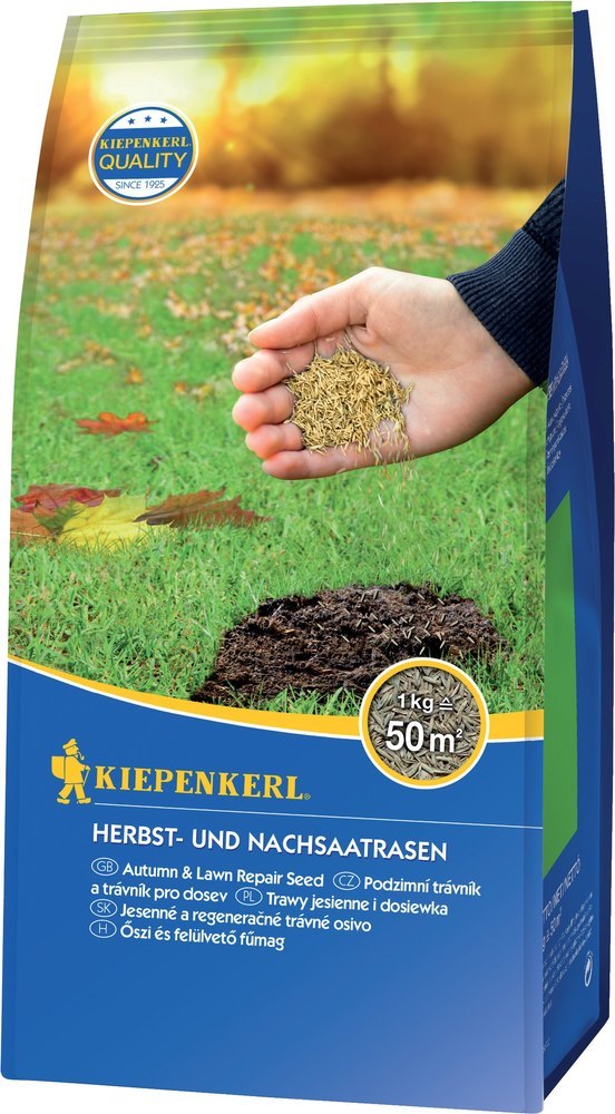 Kiepenkerl Herbst- und Nachsaatrasen 1 kg Produktbild img1 L