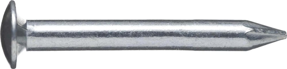 BÄR Hartstahlnägel Linsenkopf Produktbild img1 L