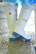 DUNLOP Stiefel Purofort FoodPro MultiGrip safety CA61131 Produktbild img20 S