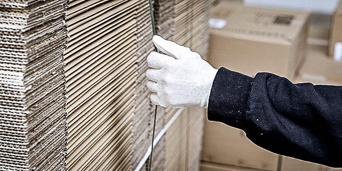 NITRAS Baumwoll-Trikot-Handschuhe, naturfarben Produktbild img2 L