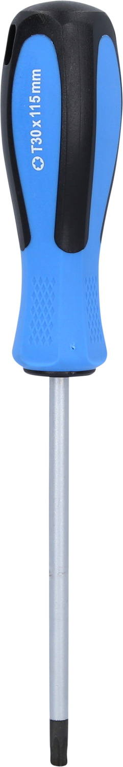 BRILLIANT TOOLS Schraubendreher TORX, T30 x 115 mm Produktbild img3 L