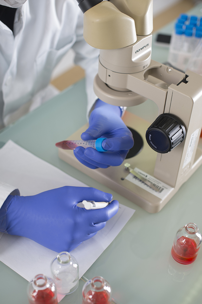 SHOWA 7555 Produktbild img7 L