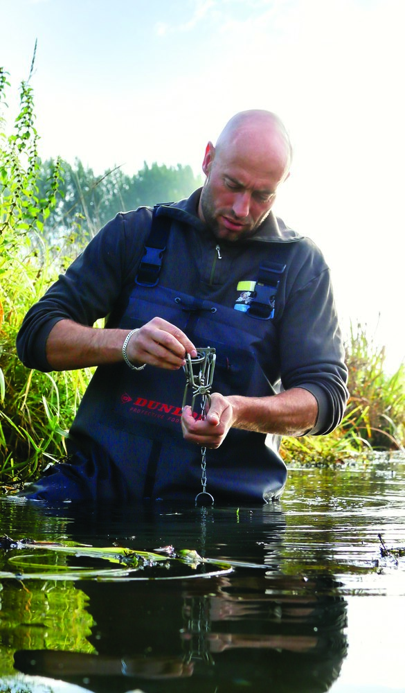 DUNLOP Wathose Dunlop Acifort Heavy Duty , S5, Gr.48 Produktbild img2 L