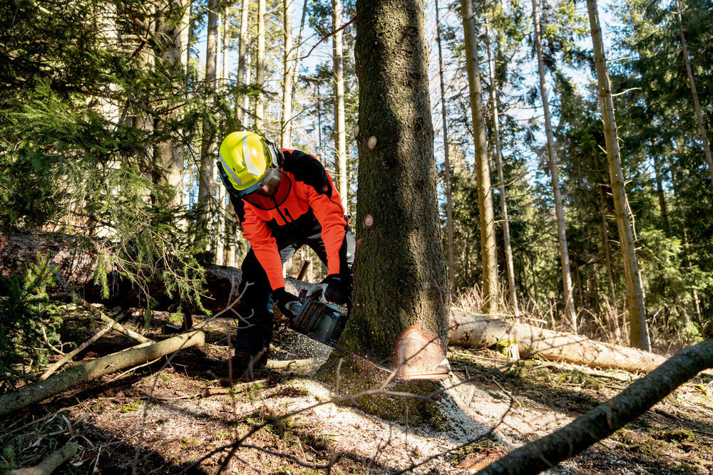 metabo Akku-Kettensäge solo MS 36-18 LTX BL 40 Produktbild img2 L