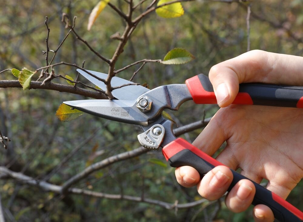 ERDI Combi-Schere 200mm geschmiedet 2-Komponenten-Griff Produktbild img3 L