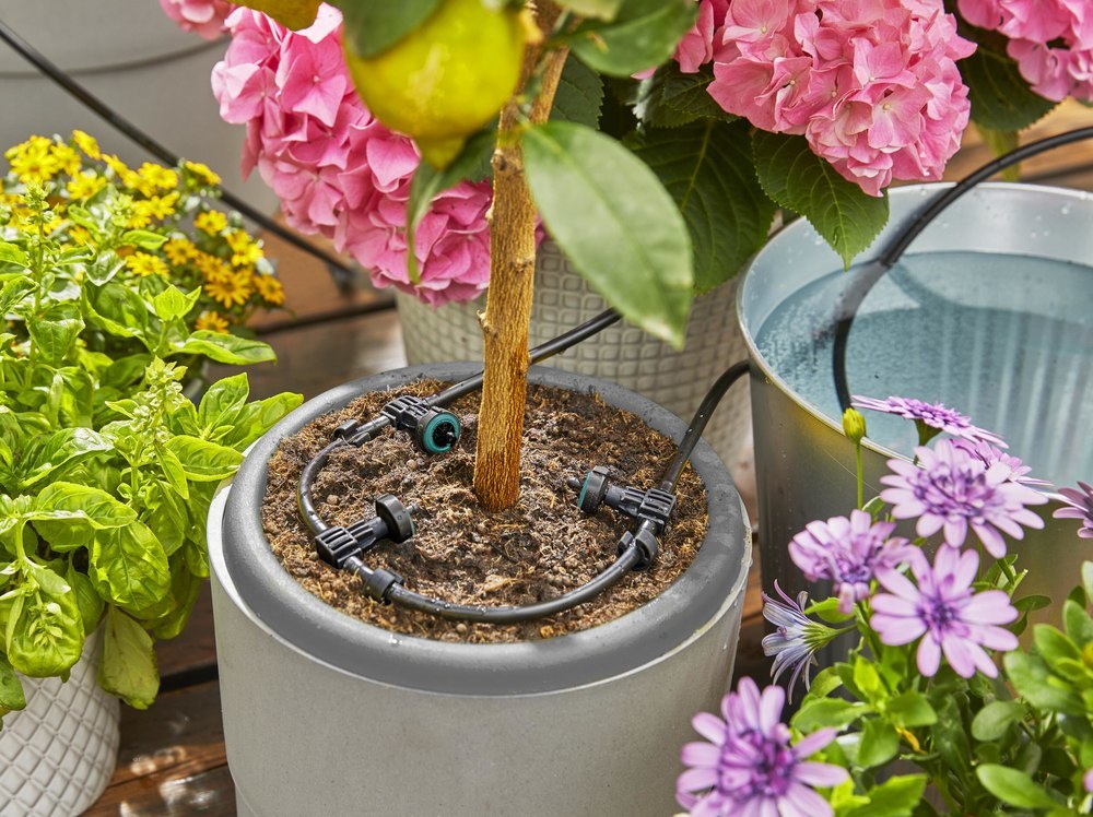 Gardena Solar-Bewässerung aquaBloom Set 13300-20 Produktbild img6 L