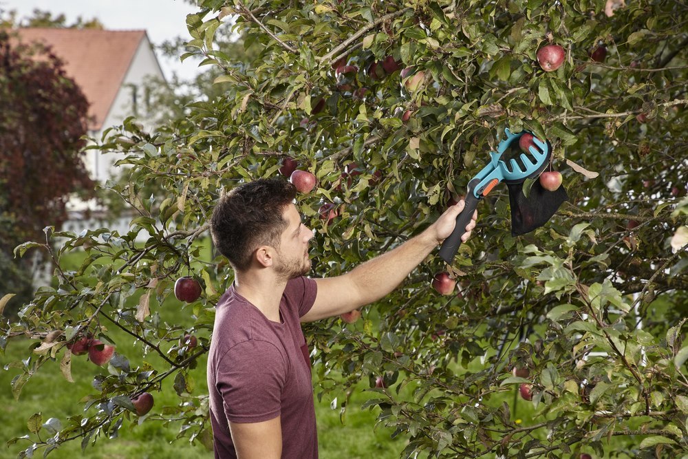 Gardena Obstpflücker cs Produktbild img3 L