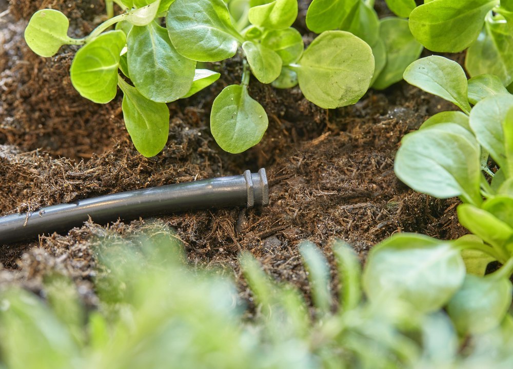 Gardena Micro-Drip-System Verschlussstopfen 4,6 mm (3/16") - Inhalt: 10 Stück Produktbild img3 L