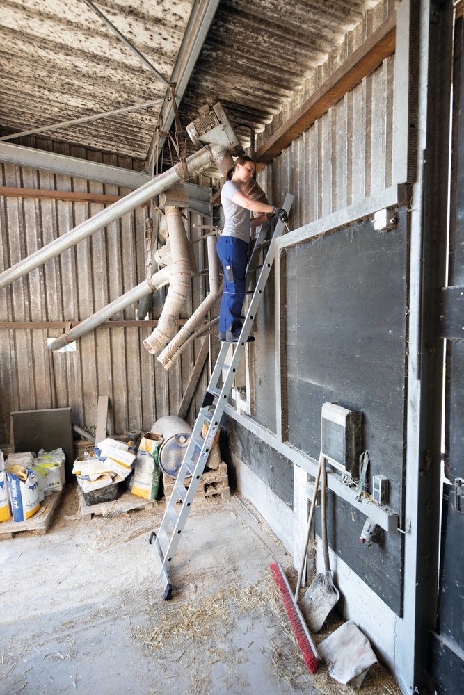 GÜNZBURGER STEIGTECHNIK Stufen-Anlegeleiter mit Standard-Traverse Produktbild img1 L
