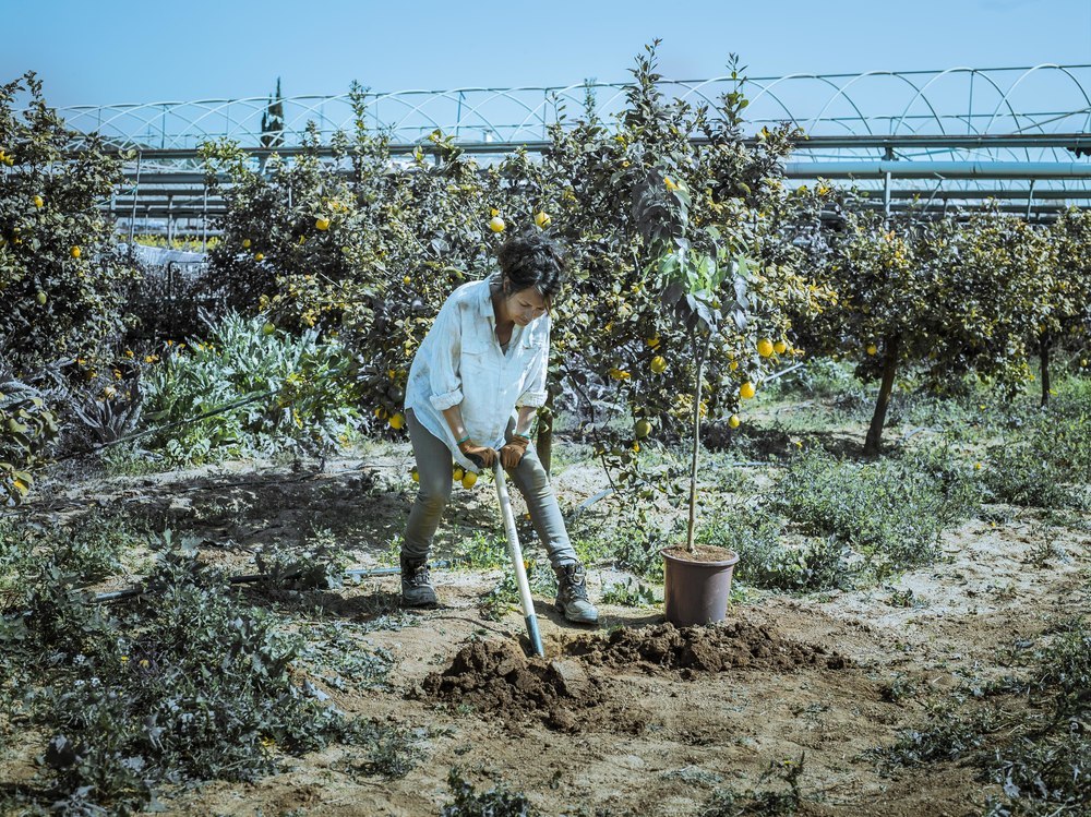 BELLOTA Spaten - Belotta Produktbild img2 L
