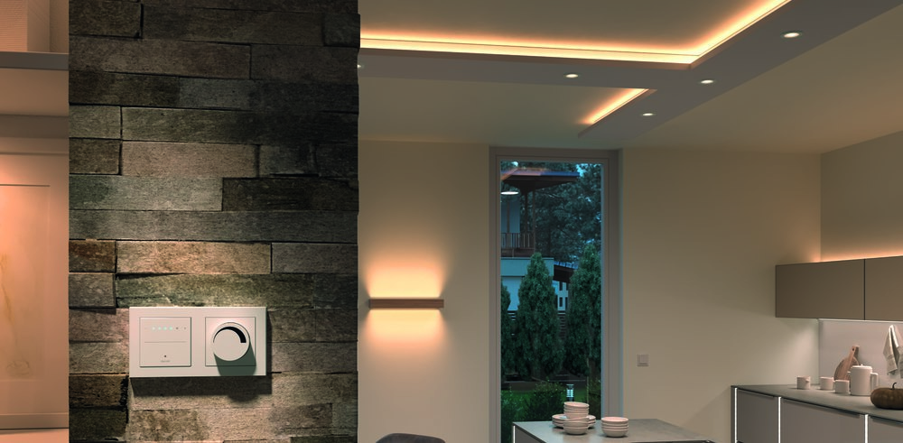 Halemeier LED-Leuchten-Dimm-Modul, Dali, max. 150W, 24 Volt DC Produktbild img3 L