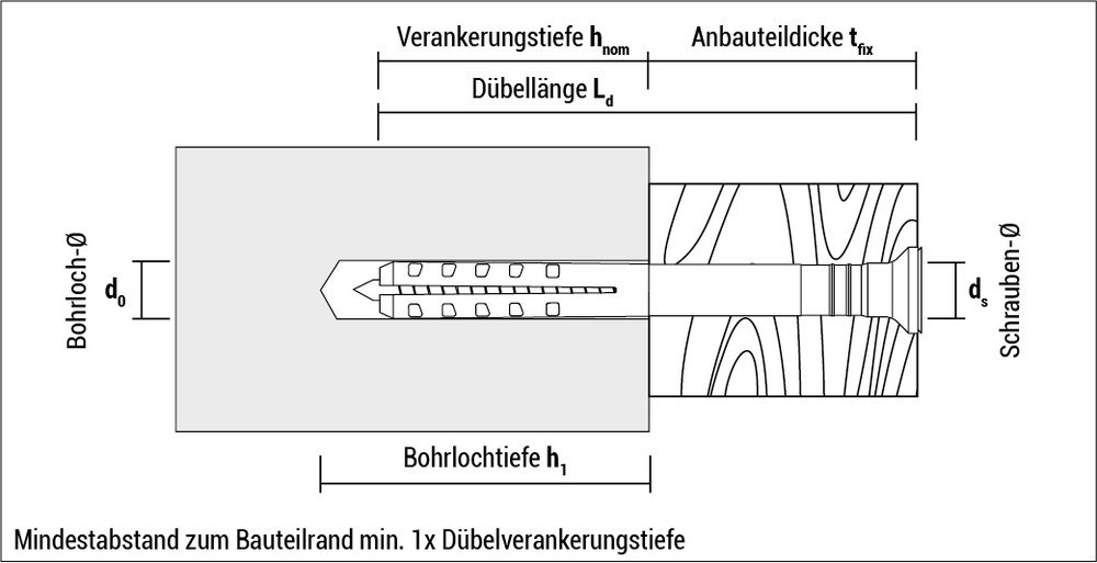 CELO Nageldübel NP 6-40 Flachbund +Schraube (PZ2) A2 Produktbild img13 L