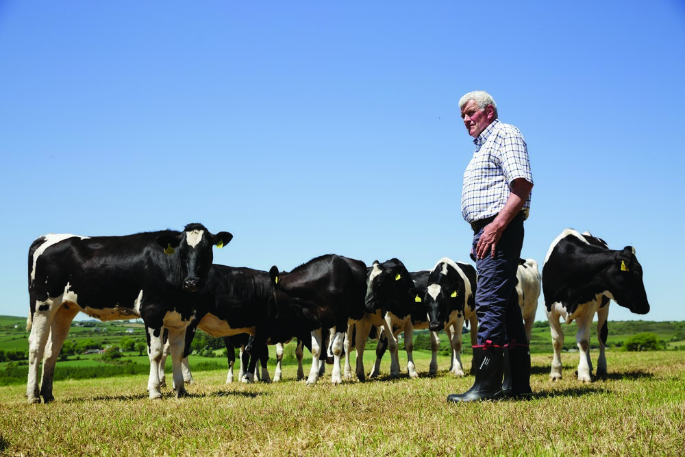 DUNLOP Sicherheits-Gummistiefel Purofort Rugged full safety C762043.CH Produktbild img8 L