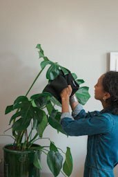 FISKARS Stautuch für Zimmerpfanzen Produktbild img3 L