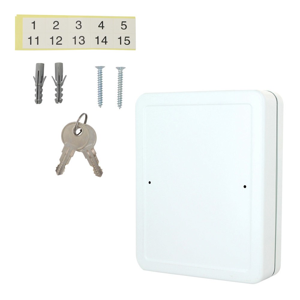 ROTTNER, Schlüsselkassette, Wandmontage, lichtgrau, Stahlblech Produktbild img5 L