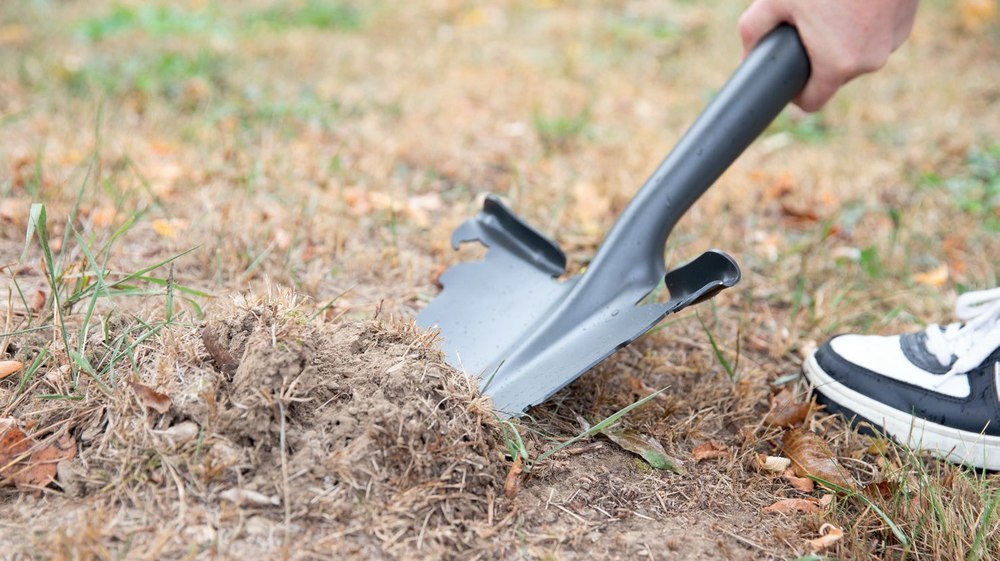 FREUND Wurzelspaten 69870 mit Stahlrohrstiel und Kst.-D-Griff Produktbild img6 L