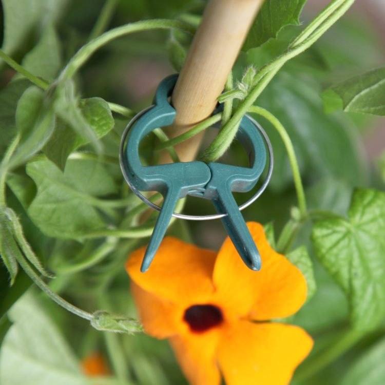 floraworld Pflanzenclip-Set Classic Produktbild img2 L