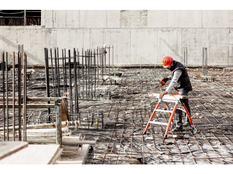 PrizeCut Fuchsschwanz Pricecut 475mm Bah co Produktbild img2 L