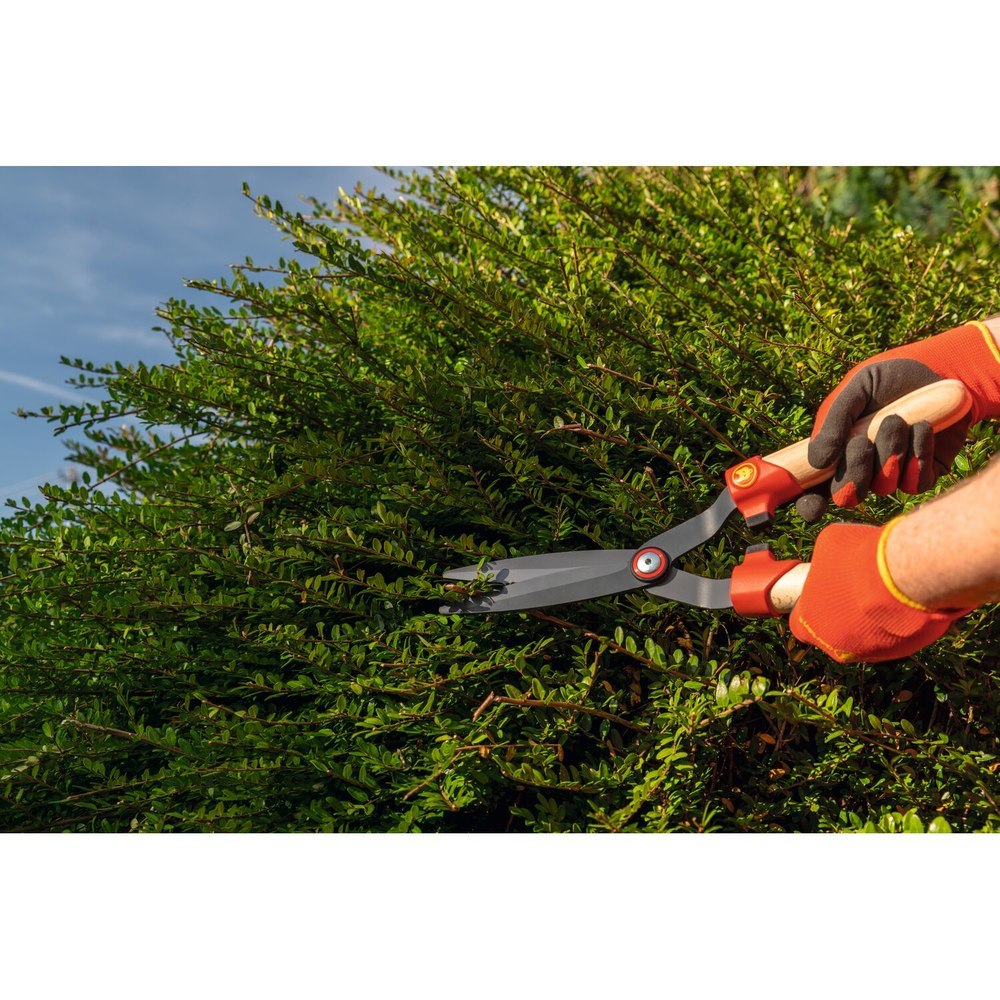 WOLF GARTEN Buchsbaumschere HS-BW Produktbild img2 L
