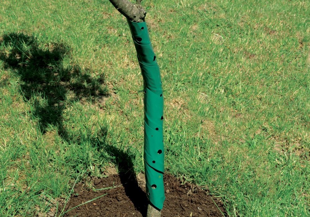 floraworld Baumschutzspirale 2er, 60 cm Produktbild img2 L