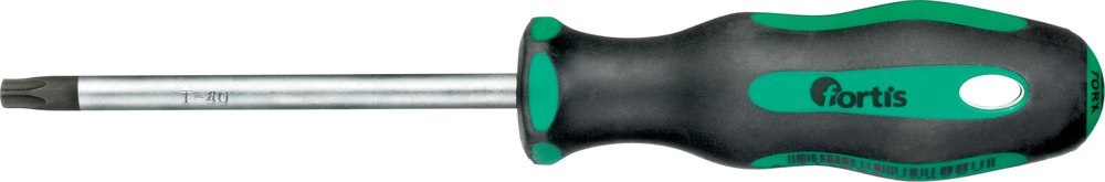 fortis Schraubendreher T40x100mm Produktbild img1 L