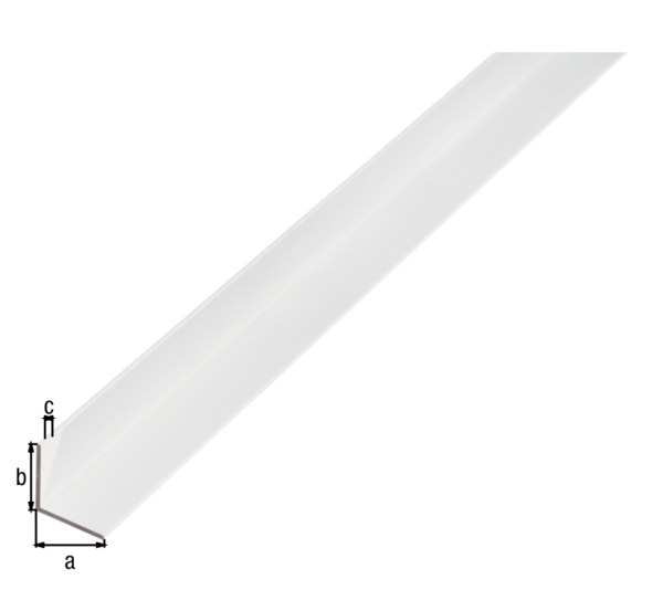GAH ALBERTS Winkelprofil, gleichschenklig, L 1000 mm, Aluminium silberfarbig Produktbild img19 L