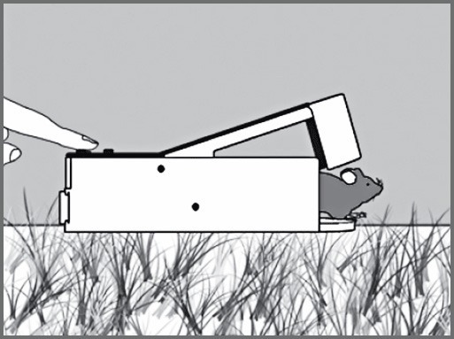 SWISSINNO Lebendfalle Mausehaus inkl. Kö der SuperCat Swissinno Solution Produktbild img14 L