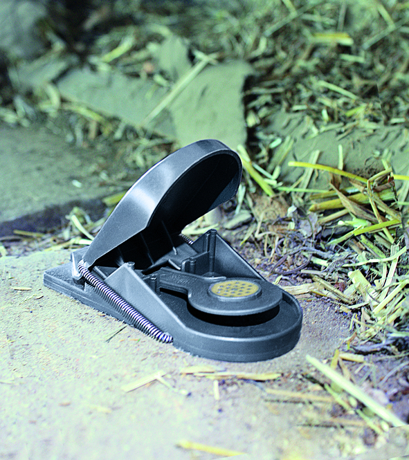 SWISSINNO Mausefalle Supercat Produktbild img11 L